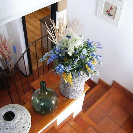 Apartment Winahost Casa En